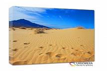 Kelso Dunes 50x30cm
